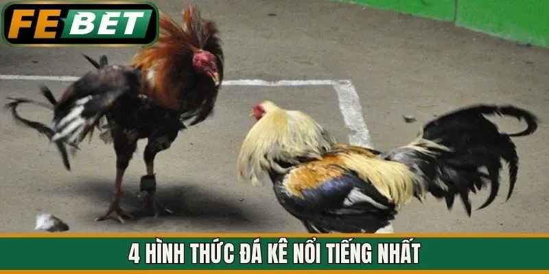 4 hình thức đá kê nổi tiếng nhất